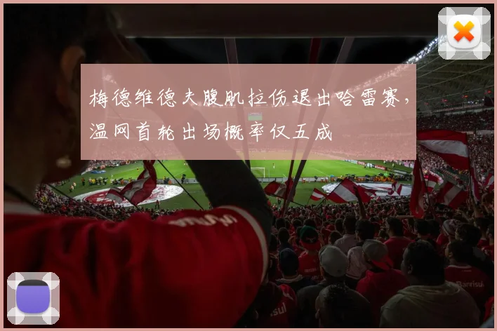 梅德维德夫腹肌拉伤退出哈雷赛，温网首轮出场概率仅五成